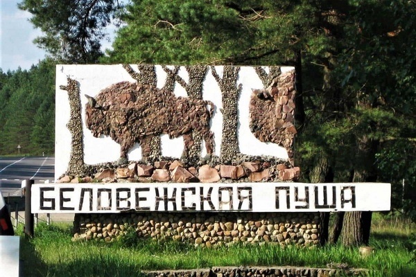 Расширение инфраструктуры в Беловежской пуще Расширение инфраструктуры в Беловежской пуще